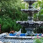 Krysztalowa Przystan 므르제지노