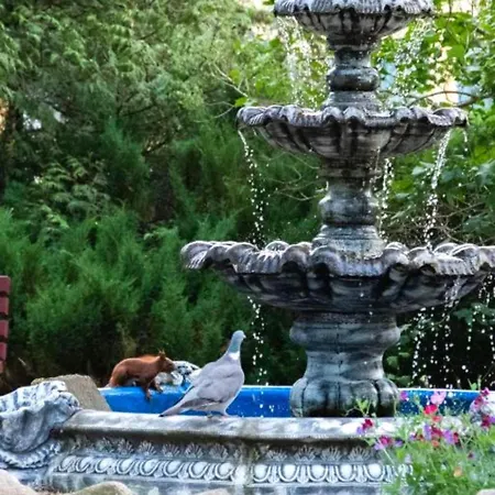 Krysztalowa Przystan Mrzeżyno