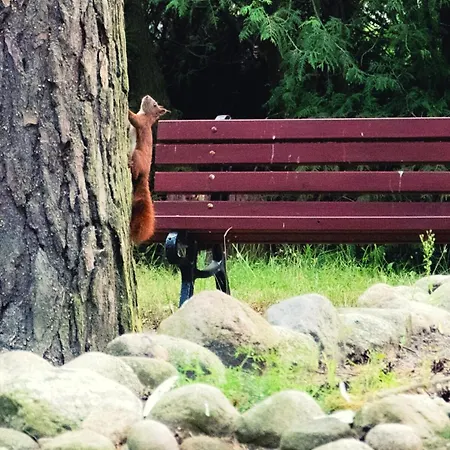 Krysztalowa Przystan Village de vacances