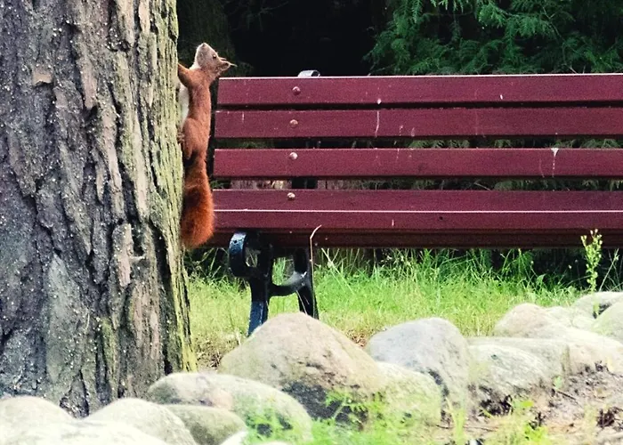 Kryształowa Przystań Kompleks wypoczynkowy